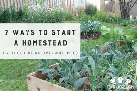 7 Ways To Start A Homestead Without Being Overwhelmed Fire News Today