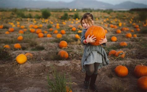 Pick Your Own Pumpkin The Ultimate Guide To Halloween Fun From Devon