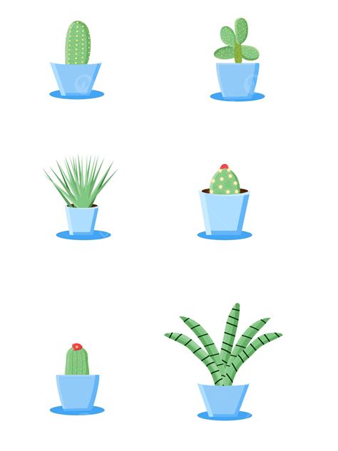 Cactus Plants Vector Hd Images Simple And Lovely Cartoon Vector Plant