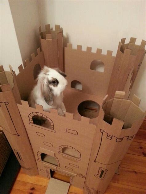Bobby King Of The Castle Bunny House Diy Bunny Toys Indoor