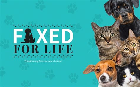 Gccf To Launch Fixed For Life A No Cost Spay And Neuter Program To Run February 1 29