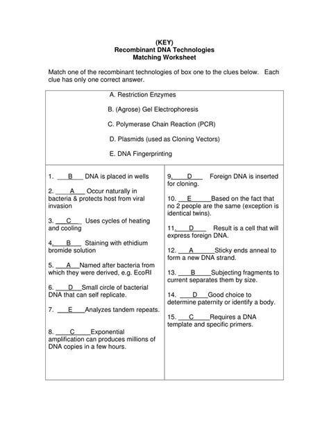 15 Best Images Of Enzyme Worksheet Crossword Puzzles