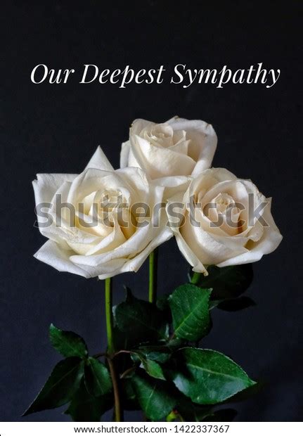 Our Deepest Sympathy Card Message On Stock Photo Edit Now 1422337367