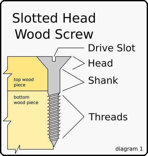 Wood Screw Stock Illustrations 3679 Wood Screw Stock Clip Art Library