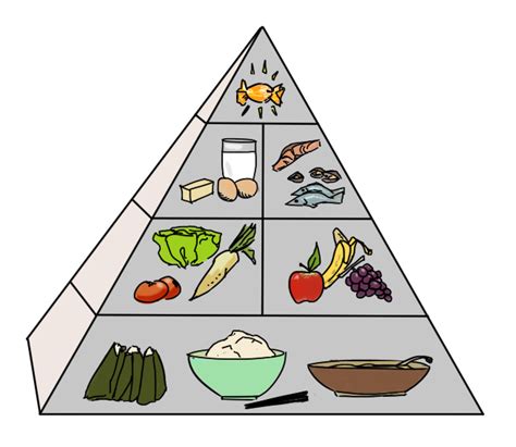Label Clipart Food Pyramid Label Food Pyramid Transparent Free For