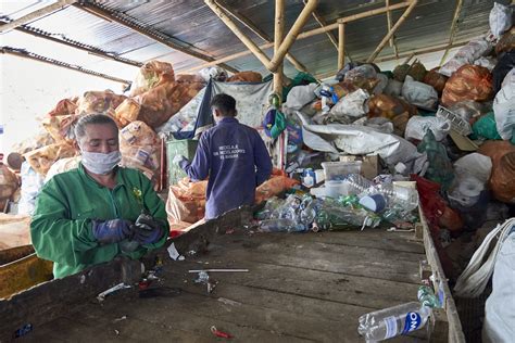 Más 14 Mil Empleos Podrían Generarse En Colombia En Labores De Reciclaje