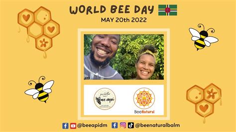 World Bee Day May 20th 2022 In Dominica Moving First Nuc To Hive