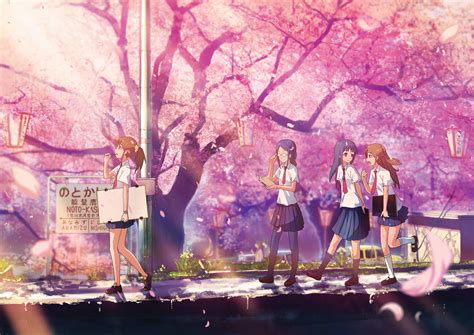 Anime Cherry Blossom Wallpaper 72 Images