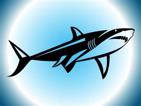 Shark Silhouette Vector Art And Graphics