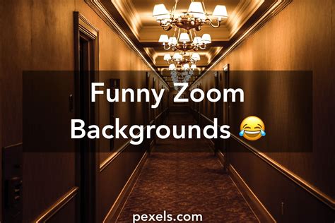 Funny Zoom Backgrounds 😂 · Pexels
