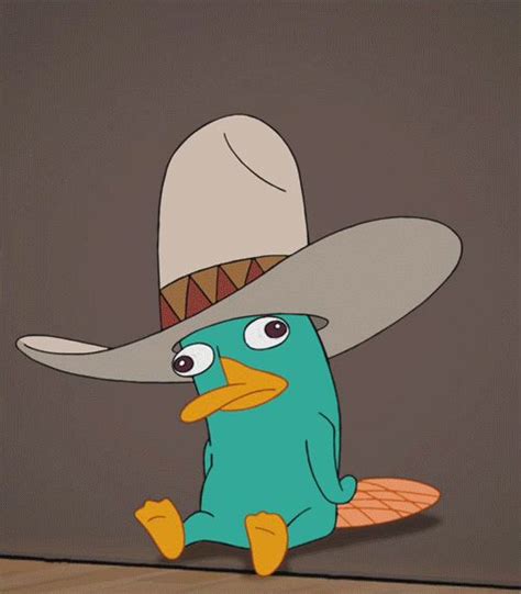 Perry  Find And Share On Giphy Phineas And Ferb Memes Perry The Platypus Phineas And Ferb