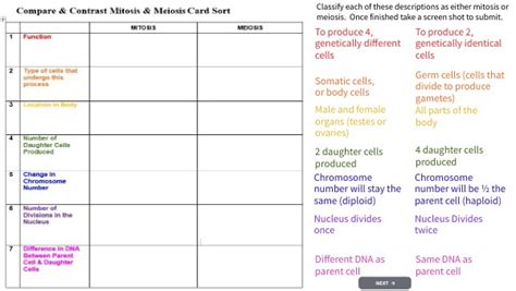 Mitosis And Meiosis Card Sort