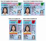 Renew Michigan Drivers License Out Of State Images