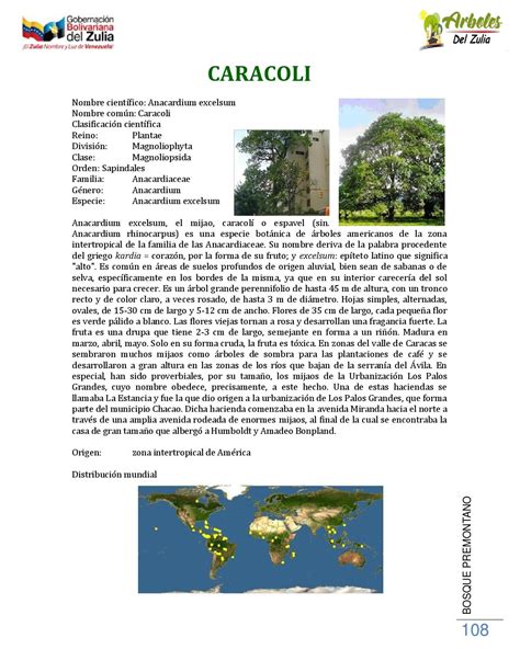 Árboles Emblemáticos Del Zulia By Secretaria De Ambiente Issuu