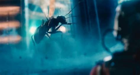 Picture Of Ant Man