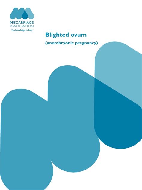 Blighted Ovum Pdf Miscarriage Pregnancy