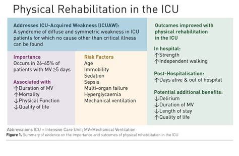 Physical Rehabilitation In The Icu Understanding The Evidence