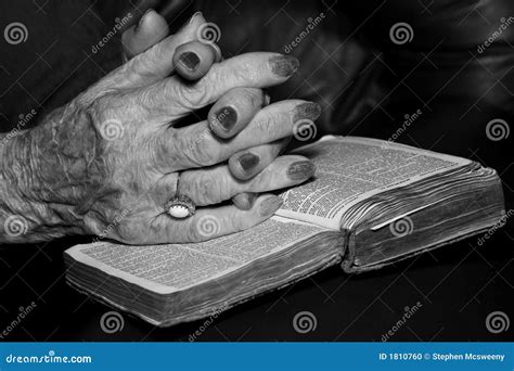 Senior Hands In Prayer Stock Photo Image Of Bible Christianity 1810760