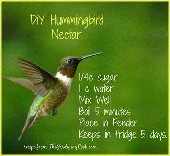 Today, it's all about how to make hummingbird food! DIY hummingbird nectar is so easy to make and less ...
