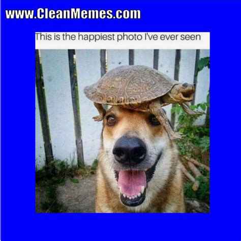 Clean Memes 09 28 2018 Clean Memes