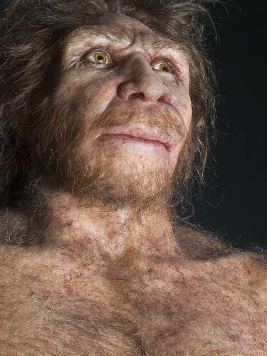 Homo Heidelbergensis OLYMPUS DIGITAL CAMERA TRACY CHRISTIE Flickr