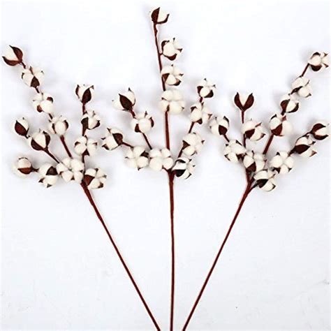 wmaot cotton stems 30” tall 13 bolls stem farmhouse style real elastic cotton stalk rustic