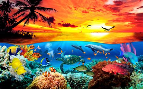 Under The Sea Desktop Wallpapers Top Free Under The Sea Desktop