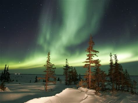 Northern Lights Natures Winter Magic