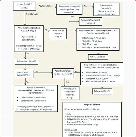 Proposed Algorithm For Assessment And Management Of Urinary Tract Download Scientific Diagram