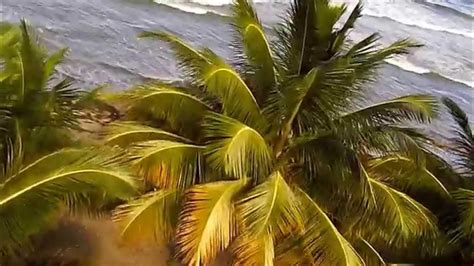 Vista Aerea De La Playa En Levittownpuerto Rico Youtube