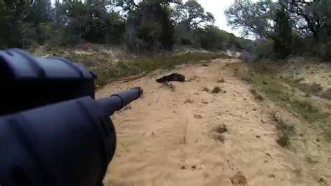 Find tennessee hunting land for sale using our interactive search feature. Graphic! Hog Hunting in Texas - YouTube