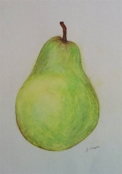 Pear Drawing At Getdrawings Free Download