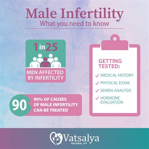 Male Factor Infertility Male Factor Infertility Infertility Male