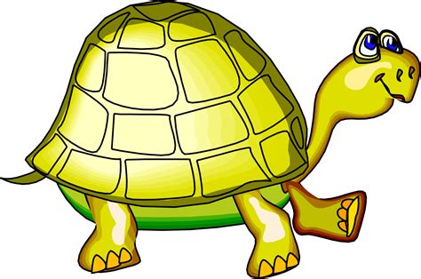 Free Turtle Images Cartoon Download Free Turtle Images Cartoon Png