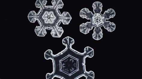 See The Highest Resolution Snowflake Images Ever Captured Mental Floss