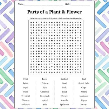 Parts Of A Plant Flower Word Search Puzzle Worksheet Activity Tpt