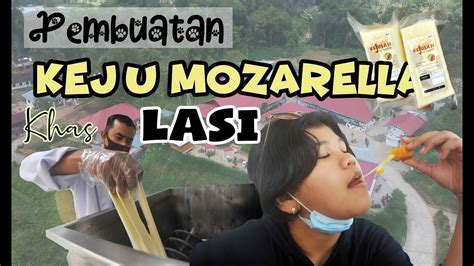 Meleleh Banget Begini Ternyata Cara Pembuatan Keju Mozarella Khas