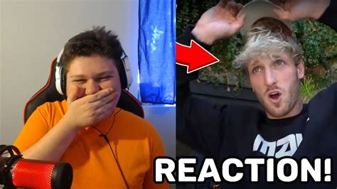 Logan Paul I Want To Make A Baby Reaction Youtube