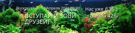 Домашний аквариум | СПБ | Обсуждение с аквариума и его обитателей ...