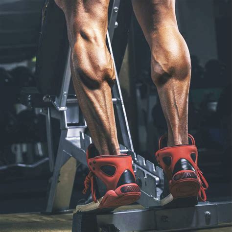Build Massive Calves With These Workouts Calf Exercises Calves Best