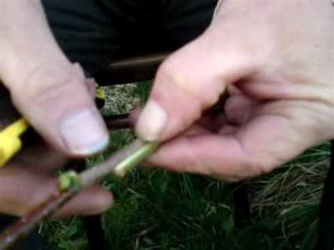 Check spelling or type a new query. Grafting fruit trees, Its great, Its so easy.MP4 - YouTube