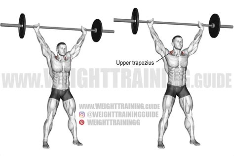 Barbell Overhead Shrug Instructions And Video Weighttrainingguide