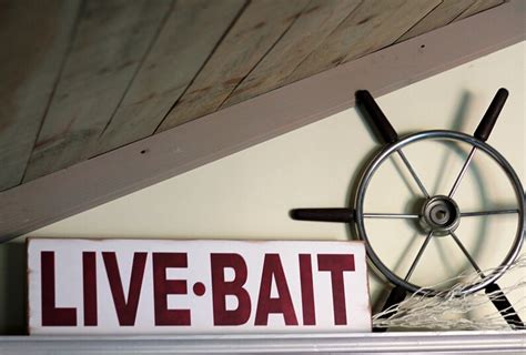 Live Bait Sign Fishing Signs Man Cave Decor T For Him Etsy