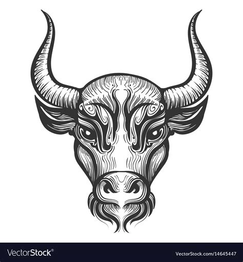 Bull Head Engraving Royalty Free Vector Image VectorStock