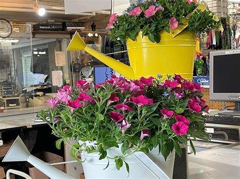 Amato's Garden Center - Home