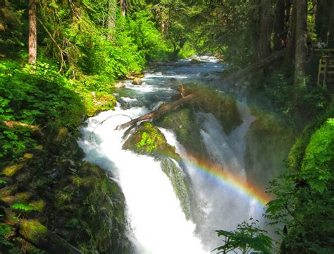 Chasing Waterfalls On The Olympic Peninsula Seattle Magazine