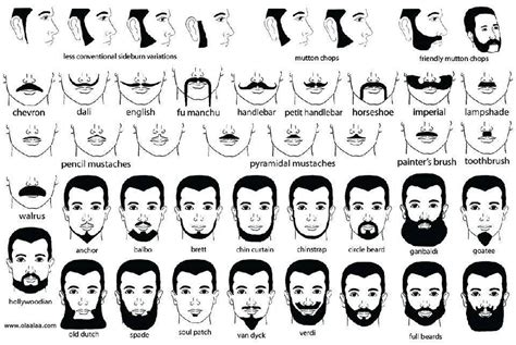 Facial Hair Chart Beard No Mustache Beard Names Types Of Beards