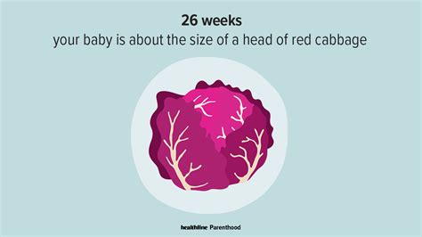 26 Weeks Pregnant Body Changes Baby Development And More