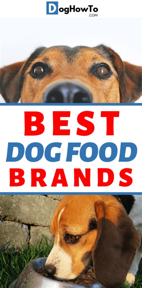 They are best known for creating relatively simple dog food recipes that pet parents can trust to deliver the right amounts of nutrients. Best Dog Food Brands - Dog How To