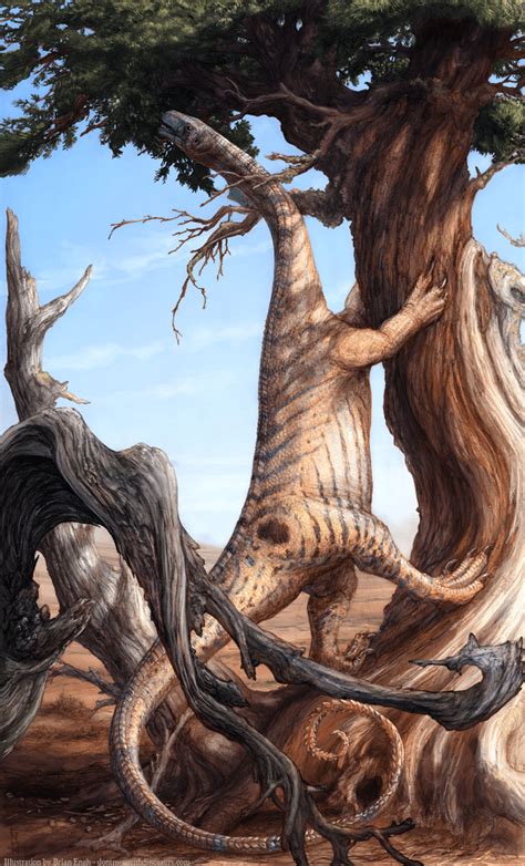 The Dinosaurs And Prehistoric Animals Of Arizona